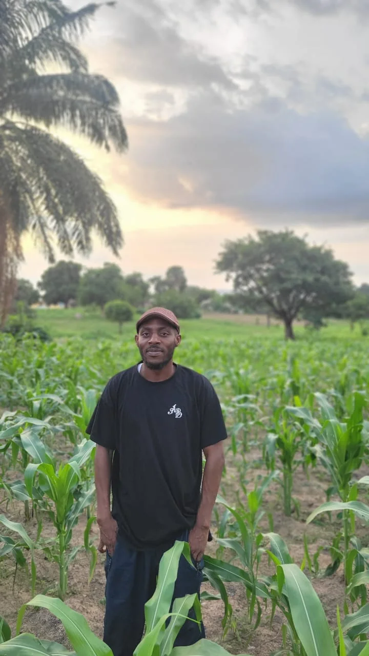 Agricultural professional standing in a maize field in Niger State