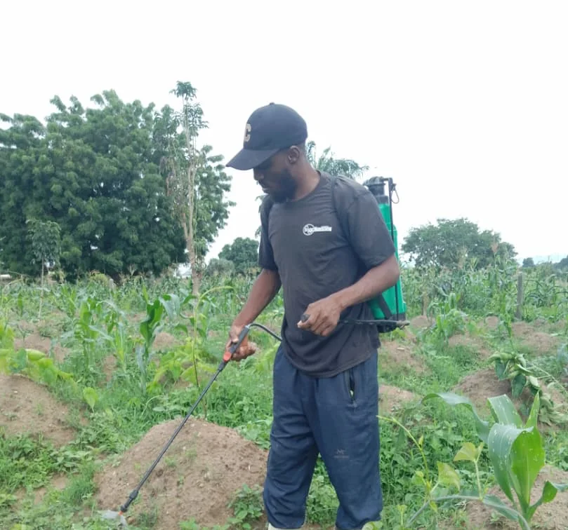 Field inspection in a mixed crop plot