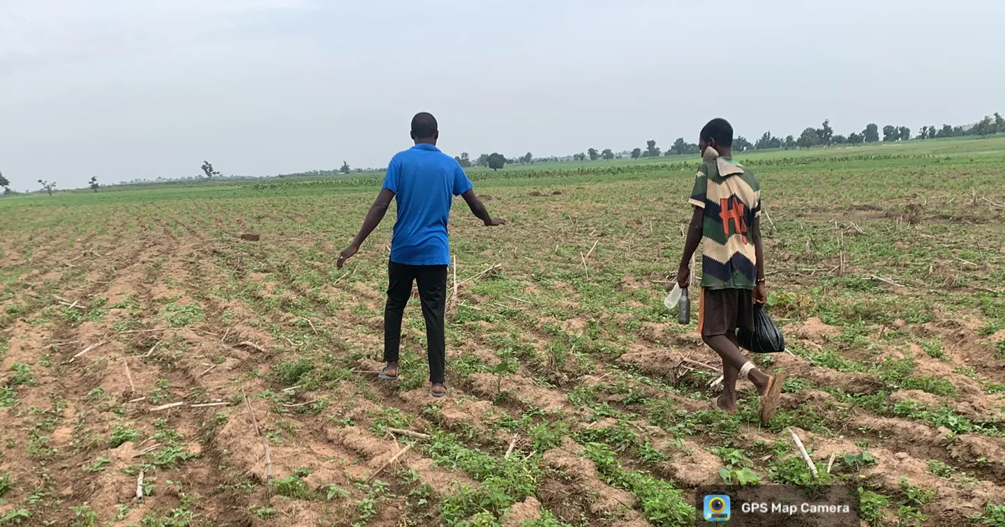 Crop sections inspected before operations