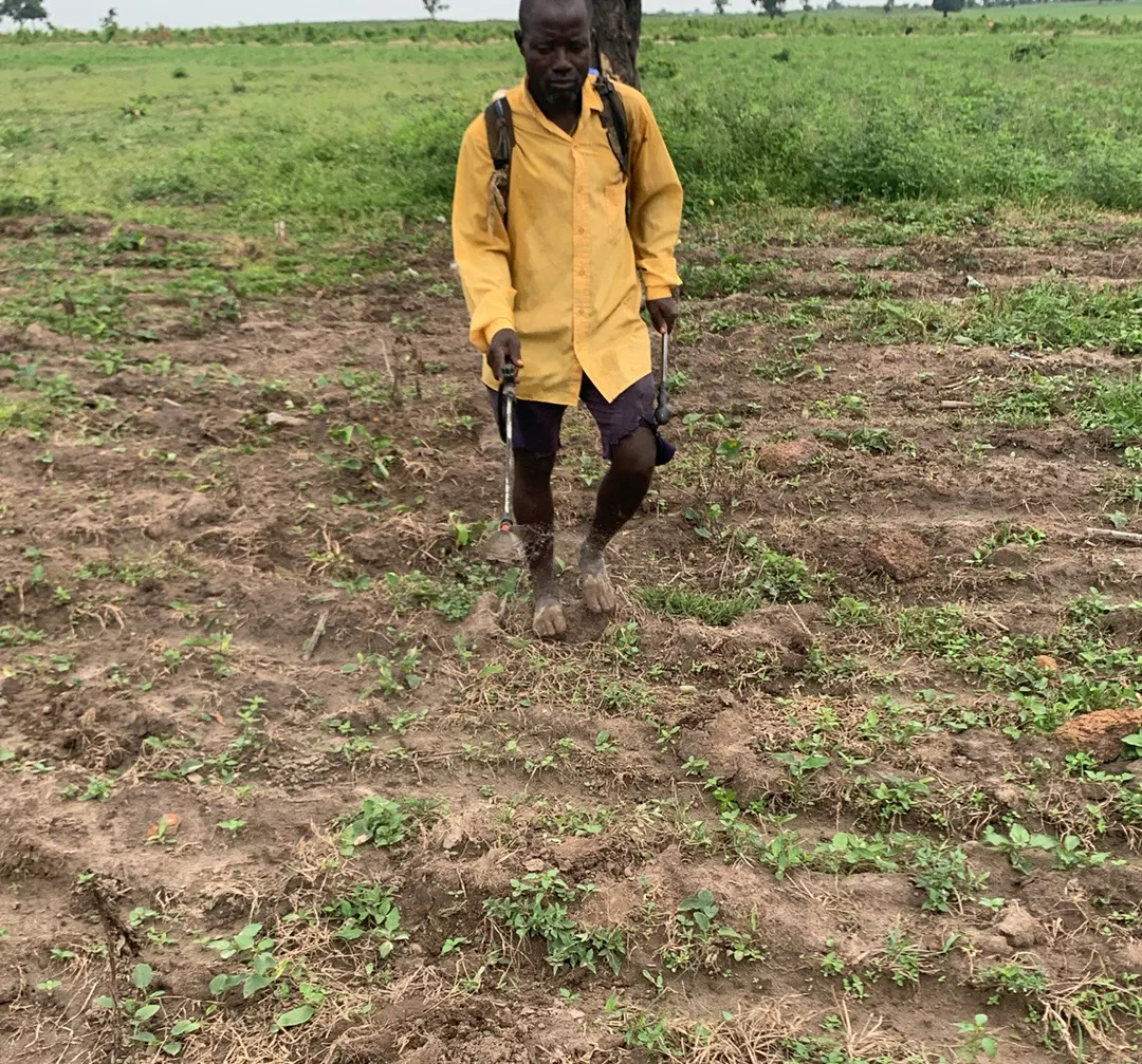 Crop-specific application underway