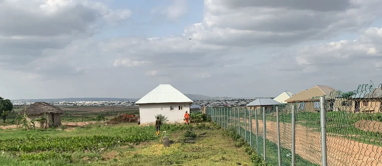 Vegetated agricultural field before pathway clearance