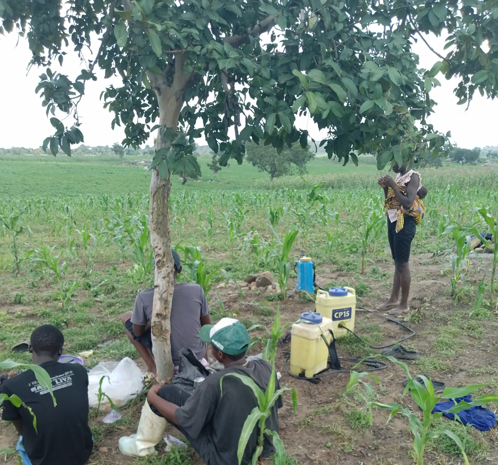 Field operations team with knapsack sprayers and planting equipment