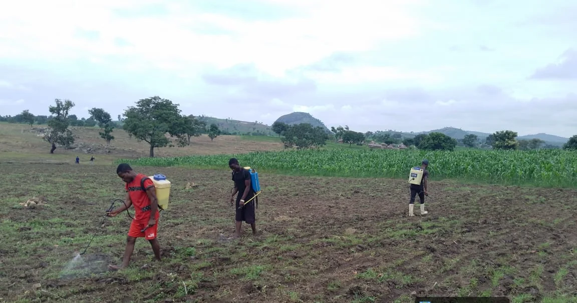 Agricultural workers planting along prepared field lines