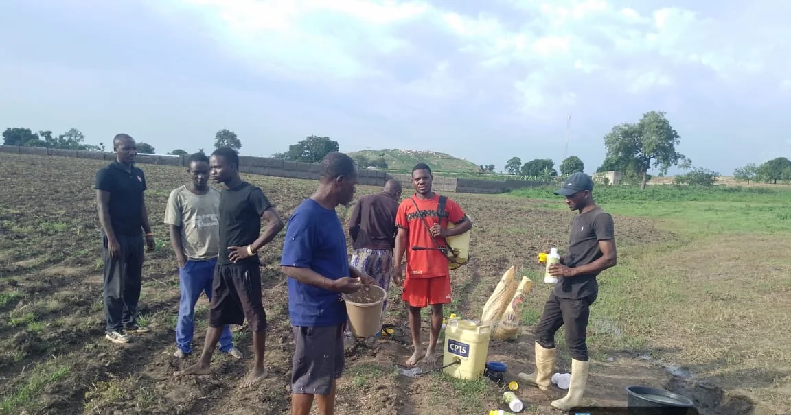 Community team carrying out a field planting operation