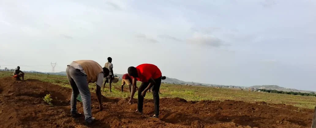 Field team preparing and sowing nursery beds