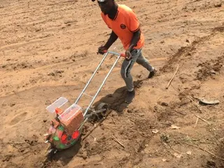 Operator using precision seeding equipment